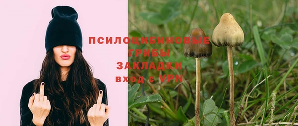2c-b Алзамай