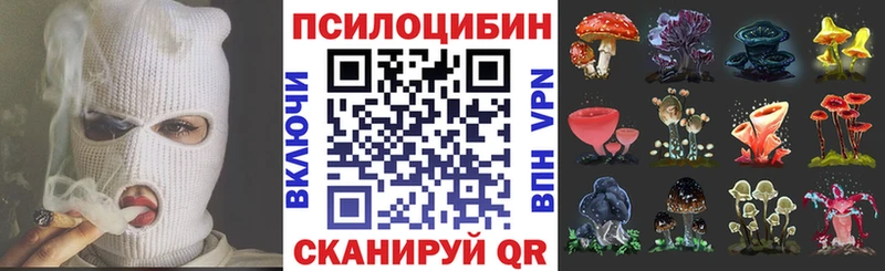 нарко площадка телеграм  omg ссылка  Андреаполь  купить   Галлюциногенные грибы мухоморы 